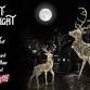 Ace Light the Night Holiday Outdoor Decorating event image