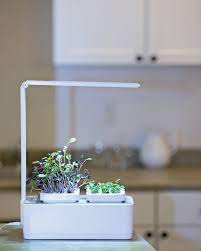 Microgreens Small Hydroponic Planter Led Lights Gardeners Com Microgreens Hydroponics Hydroponic Gardening