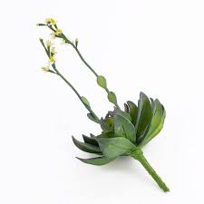 18x fiori di giglio di calla artificiale singolo gambo lungo bouquet arredamento per la casa reale colore fiori gialli 20000 petali in seta di rosa fiori artificiali da poter. Eonio Di Plastica Charlize Con Fiori Su Gambo Giallo 30cm Succulente Artificiali