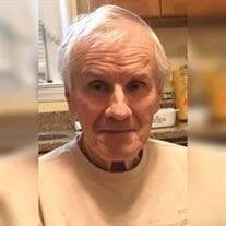 Mr. William Kostka Obituary (2025)