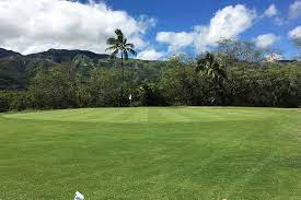Maybe you would like to learn more about one of these? Seastar Seashore Paspalum Hawaiian Turfgrass