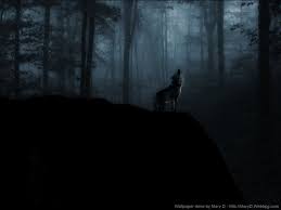 Enjoy our curated selection of 1071 wolf wallpapers and backgrounds. Lone Wolf Wallpapers Group 72