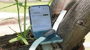 Alisa bishop onlyfan truly easy set-up via text to her inn