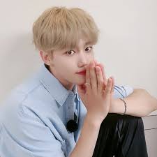 Tak Hanya Tinggal Beberapa Artis Korea Ini Lahir Di Indonesia