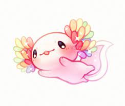 Le livre numérique (en anglais : Kawaii Axolotl Malen Novocom Top