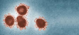 In einer ersten reaktion hatte drosten am montag über die mutation gesagt: Institut Fur Virologie Institute Of Virology