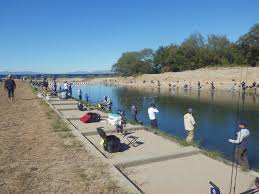 北方 マス 釣り場