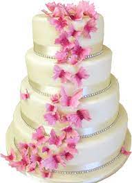 Wedding Cake Png Pink Wedding Cake Butterfly Wedding Cake Wedding Cake Images