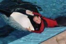 Whales perform for first time since trainer's death - Grand Forks Herald |  Grand Forks, East Grand Forks news, weather & sports