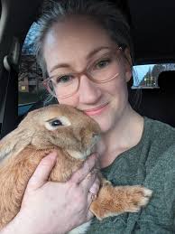 Bunny found near South Avenue, now safe at home