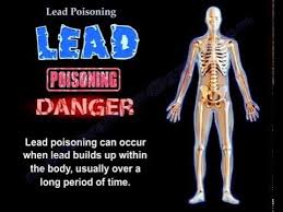 Image result for Lead Poisoning