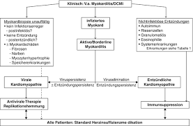 Man unterscheidet akute von chronischen formen der herzmuskelentzündung, wobei die akute myokarditis in eine chronische übergehen kann. Myokarditis Springerlink