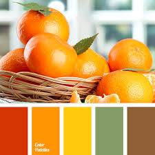 Stock photos and videos in all color palettes associated with orange. Green And Orange Color Palette Ideas