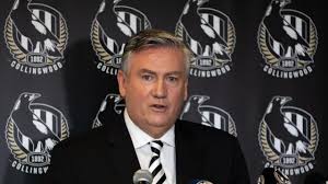 67 отметок «нравится», 1 комментариев — mitch (@parkermitch1234) в instagram: Afl 2021 Mark Korda Or Peter Murphy To Replace Eddie Mcguire At Collingwood Herald Sun