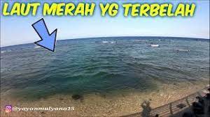 Gambar laut merah di mekah. Fenomena Laut Merah Terbelah Di Jeddah Youtube