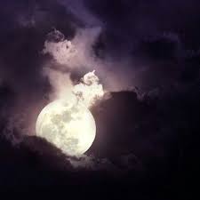 Explore origin 0 base skins used to create this skin. Walk This Empty Northern Hemisphere Wide Werewolf Aesthetic Werewolf Moon