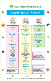 bebegimin ilk yilinda hangi yiyecekleri ne zaman verecegim mama tarifler bebegimin hangi ilk mama n kids nutrition baby food recipes baby feeding