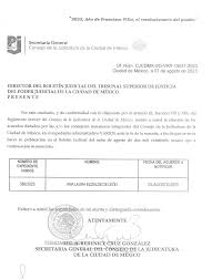DEL PODER JUDICIAL DE LA CIUDAD DE MÉXICO