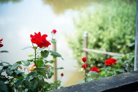 We did not find results for: Altes Eishaus Hotel Restaurant Giessen Aktualisierte Preise Fur 2021