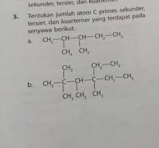 Tentukan Jumlah Atom C Primer Sekunder Tersier Dan Kuartener Brainly Co Id