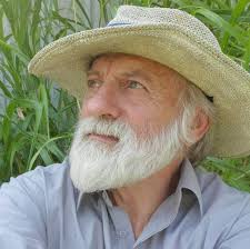 What are the benefits and/or concerns about putting phone numbers and email  addresses in the RVARC public database?