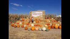 Crismor Farms in Buhl, ID Crismor's U-Pick Pumpkin Patch! - YouTube