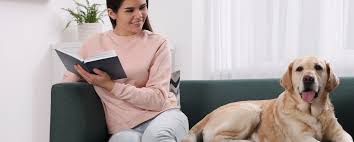 Veterinarian in Southern Pines, NC