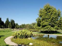 Xochitla Parque Ecologico Esta Listo Para Reabrir Sus Puertas Parques Ecologicos Parques Puertas