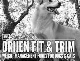 Its nutrient profile is significantly above average and it provides an extremely high proportion of protein. Orijen Fit Trim Weight Management Food For Dogs Cats
