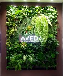 Aveda Shop Green Wall Pionowe Ogrody Ogrod W Domu Zielona Sciana
