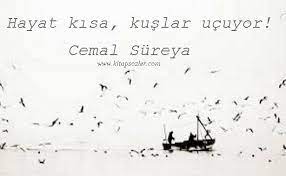 hayat kisa kuslar ucuyor cemal sureya http www kitapsozler com cemal sureya resimli sozleri hayat kus