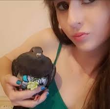 Shepherding rule no. 679 During the rounding up of the flock, all  relationships are