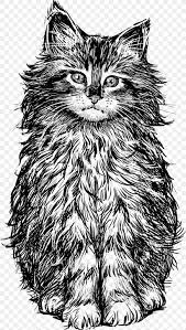 Its resolution is 1024x1024 and it is transparent background and png format. Cat Kitten Drawing Png 2263x4000px Cat Art Black And White Black Cat Carnivoran Download Free