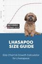 Lhasapoo Size Chart + Interactive Weight Calculator - Doodle ...