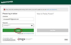 How to verify a Paddy Power account in 2020? (Updated) - STAKEBD
