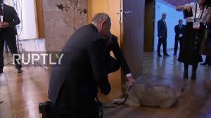 Dogs and empire russian president vladimir putin. Puppy Love Serbian President Gives Putin New Pooch Youtube