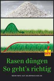 Rasenpflege Alles Zum Thema Mahen Dungen Saen Und Vertikutieren Rasen Rasen Dungen Vertikutieren