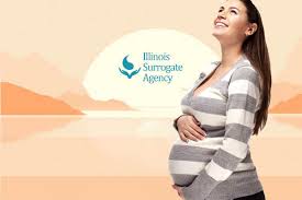 Egg donation, surrogacy, surrogate mother test Things To Consider On How Much Is A Surrogate Paid Illinois Surrogate Agency