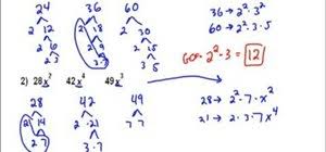How To Calculate The Greatest Common Factor Of A Set Of