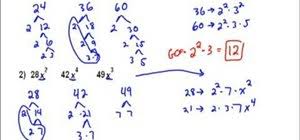 How To Calculate The Greatest Common Factor Of A Set Of