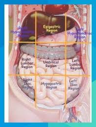 I too have this uncomfortable pressure feeling just under my rib cage and to the left side. 220 Medical Ideas Medical Medical Education Medical Knowledge