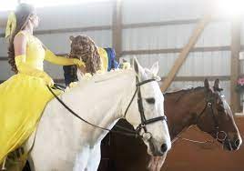 Pet Tales Horses Play Lead Roles In Beauty And The Beast Pittsburgh Post Gazette