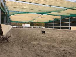 Projekt Mirbach Eifel Ebbe Flut Halle Reitplatz 20x60m In 54578 Mirbach Gestern Abend Ubergabe Und Heute Schon Geritten Nachdem Die Halle Stalle Halle Ranch