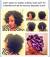 Crochet Braids With Kanekalon Hair