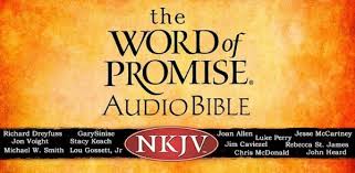 Love the search and share features and the variety of ways to share. Audio Bibles Geeky Christian