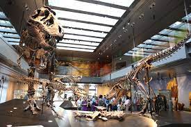 Los Angeles Natural History Museum Admission Ticket 2021
