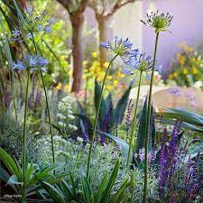 Pin On Compositions Plant Combinations