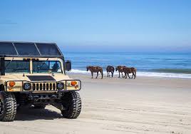 Man i miss that place! Outer Banks Wild Horse Tours Corolla Nc