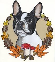 Some time ago, one of our readers asked me to teach her how to draw a boston terrier. Original Boston Terrier Drawing 7 A4 Size Framed Etsy Boston Terrier Tattoo Boston Terrier Illustration French Bulldog Art