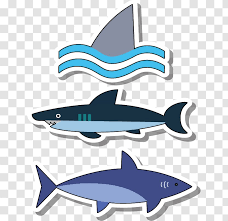 See more ideas about shark, white sharks, great white shark. Great White Shark Drawing Blue Fish Cartoon Deep Sea Sharks Transparent Png